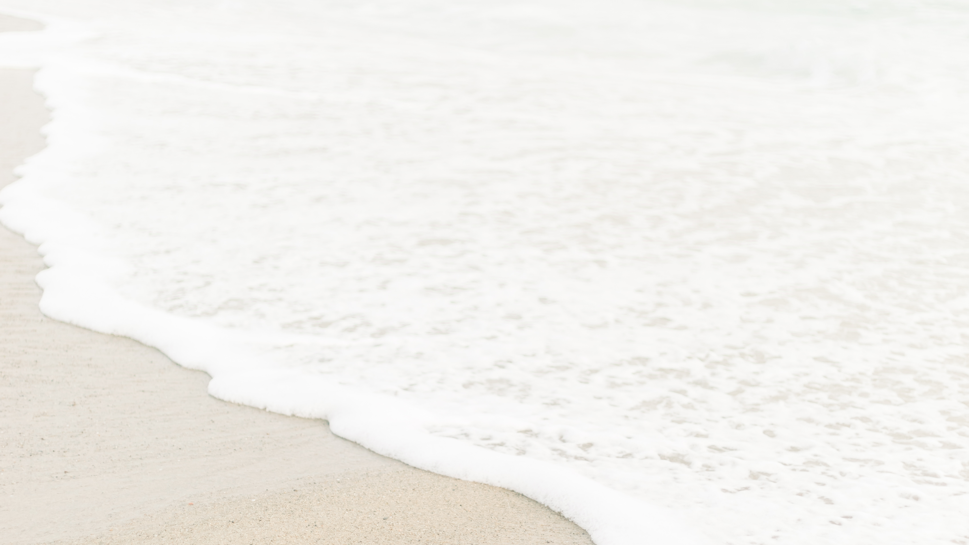 The Shore Collection