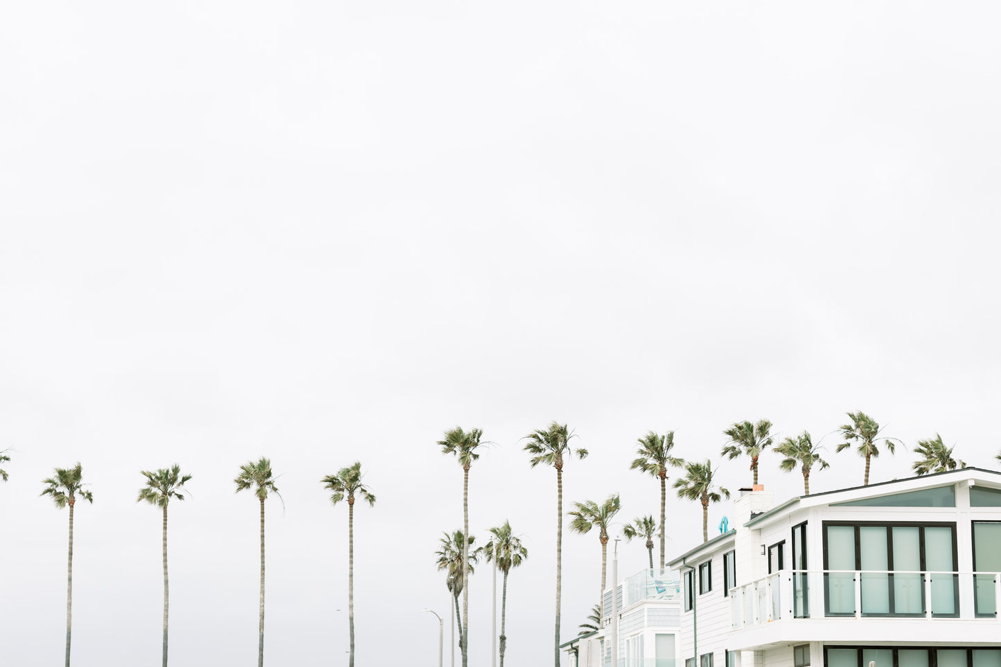 Coastal Living
