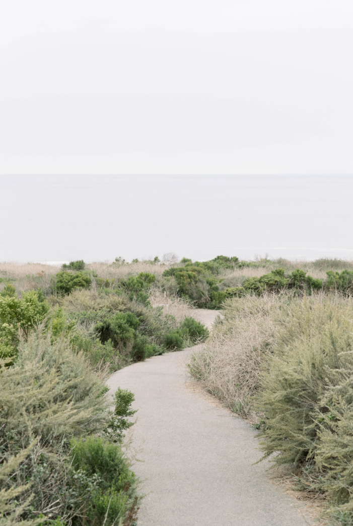 Found Photography fine art print of a beachfront path through the sand