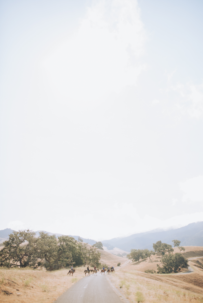 Found Photography fine art print of a ranch road with mountains in the distance