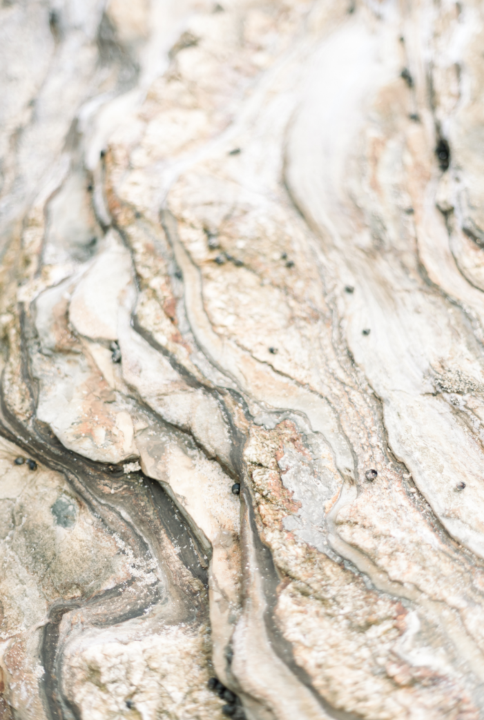 Found Photography fine art print of tidepools