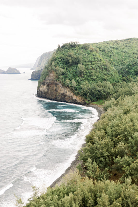 Hawaiian Coast II