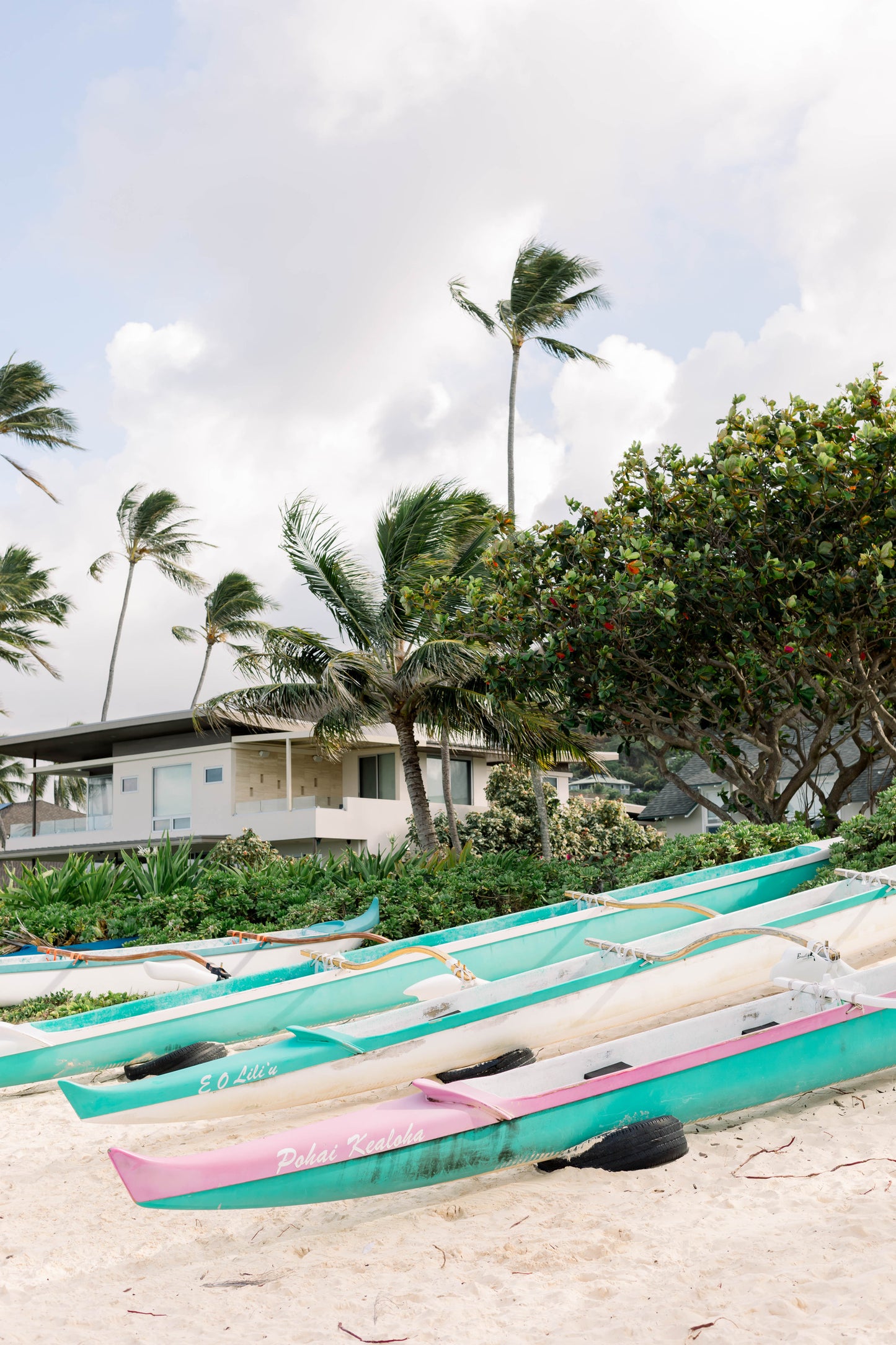 Hawaiian Life I