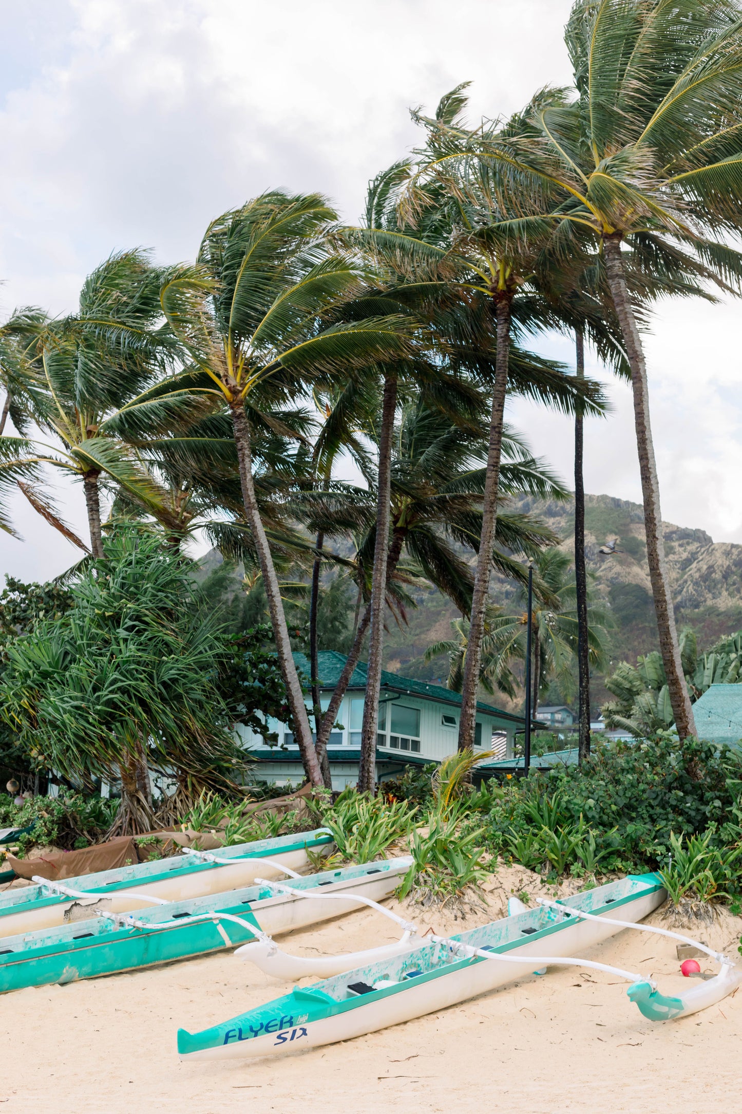 Hawaiian Life II