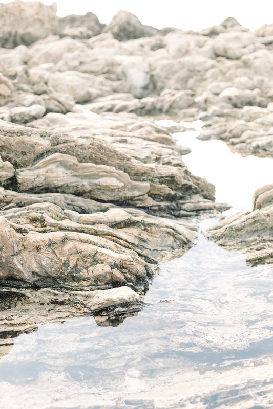 Tide Pool I